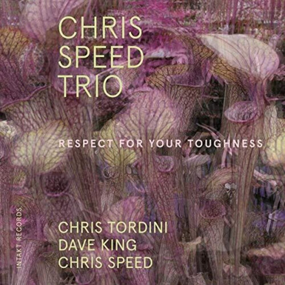 Chris Speed Trio - Respect for Your Toughness CD